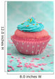Pink and Blue Cupcake