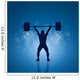 Vector Gymnasium Poster