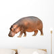 hippopotamus isolated Wall Decal