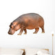 hippopotamus isolated Wall Decal