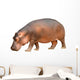 hippopotamus isolated Wall Decal
