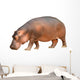 hippopotamus isolated Wall Decal