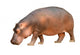 hippopotamus isolated Wall Decal