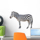 zebra isolated Wall Decal