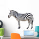 zebra isolated Wall Decal
