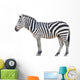 zebra isolated Wall Decal