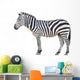 zebra isolated Wall Decal