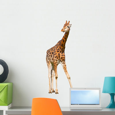 Giraffe White shown on a wall