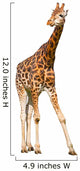 Giraffe White