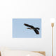 Great Cormorant Flight