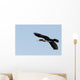 Great Cormorant Flight