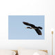Great Cormorant Flight