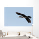 Great Cormorant Flight