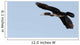 Great Cormorant Flight