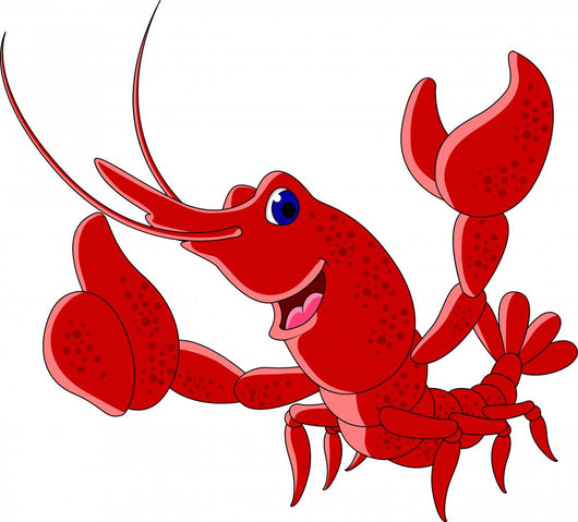 Cute Red Shrimp Cartoon Thumb up Wall Mural