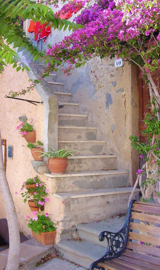 Glimpse Characteristic Lane with