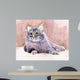 Animal Collection Cat Wall Mural
