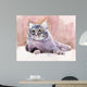 Animal Collection Cat Wall Mural