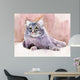 Animal Collection Cat Wall Mural