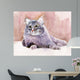 Animal Collection Cat Wall Mural