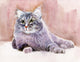 Animal Collection Cat Wall Mural