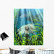 Green and Blue Mermaid