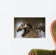 Tyrannosaurus Rex Skeleton