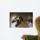 Tyrannosaurus Rex Skeleton