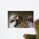 Tyrannosaurus Rex Skeleton