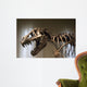 Tyrannosaurus Rex Skeleton