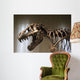 Tyrannosaurus Rex Skeleton