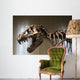 Tyrannosaurus Rex Skeleton