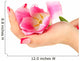 Closeup of hands of young woman with elegance manicure and Wall Decal