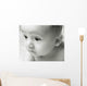 Curious Baby Wall Mural