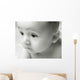 Curious Baby Wall Mural