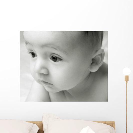 Curious Baby Wall Mural