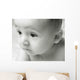Curious Baby Wall Mural