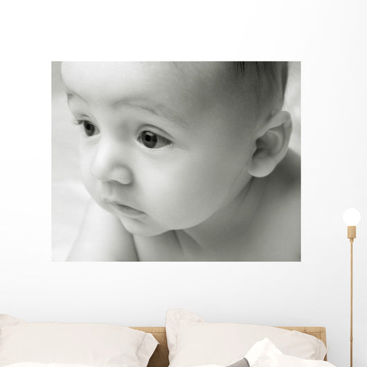 Curious Baby Wall Mural