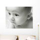 Curious Baby Wall Mural