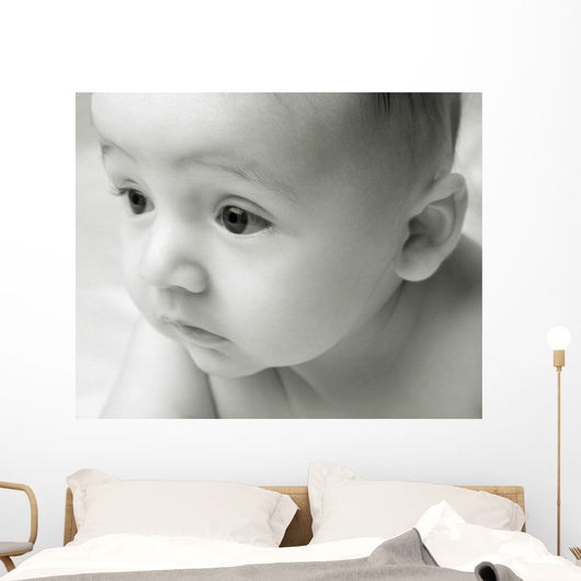 Curious Baby Wall Mural