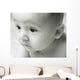 Curious Baby Wall Mural