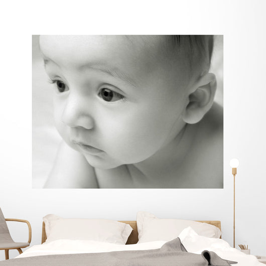 Curious Baby Wall Mural