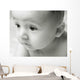 Curious Baby Wall Mural