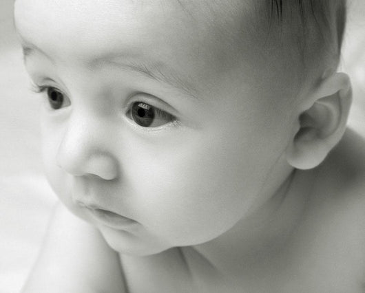 Curious Baby Wall Mural