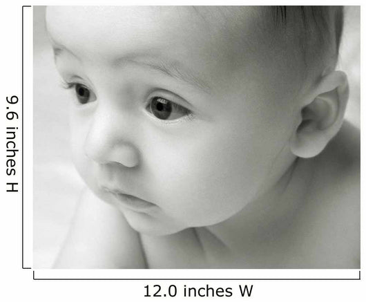 Curious Baby Wall Mural