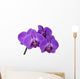 branch orchid Wall Decal