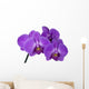 branch orchid Wall Decal