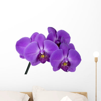 Branch Orchid Wall Decal shown on a wall