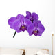 branch orchid Wall Decal