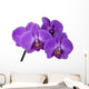 branch orchid Wall Decal